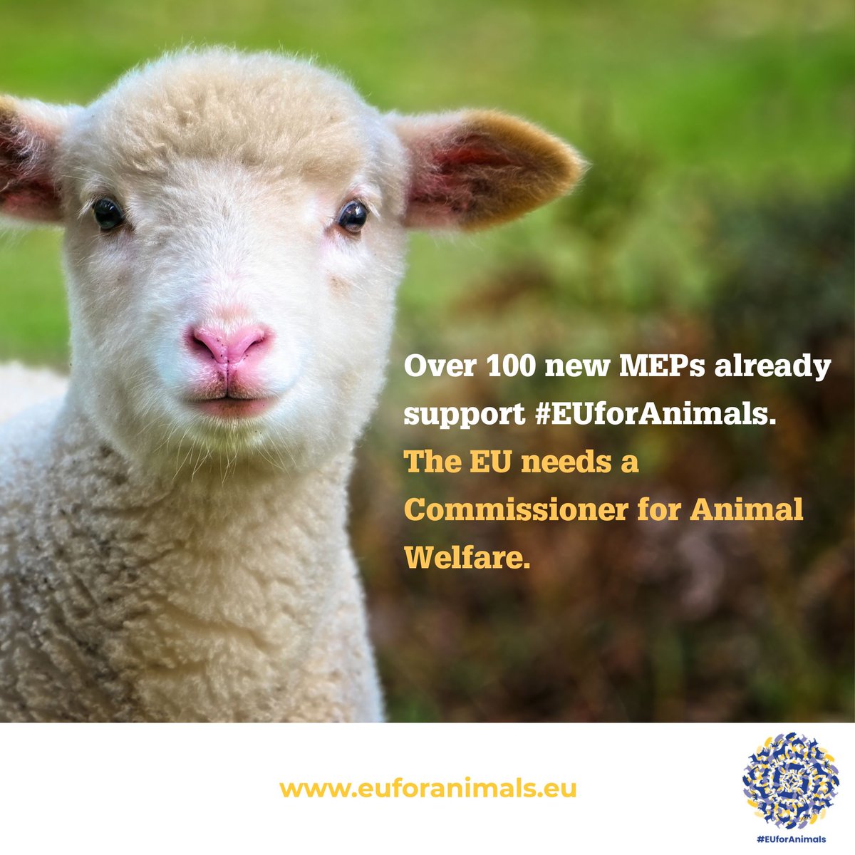 #EUforAnimals tweet media