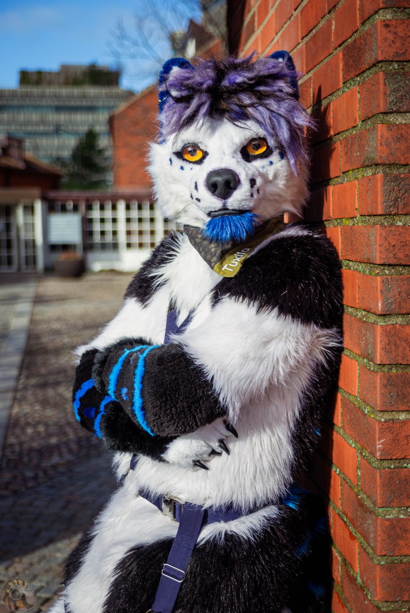 Tuxila🇨🇭 tweet media