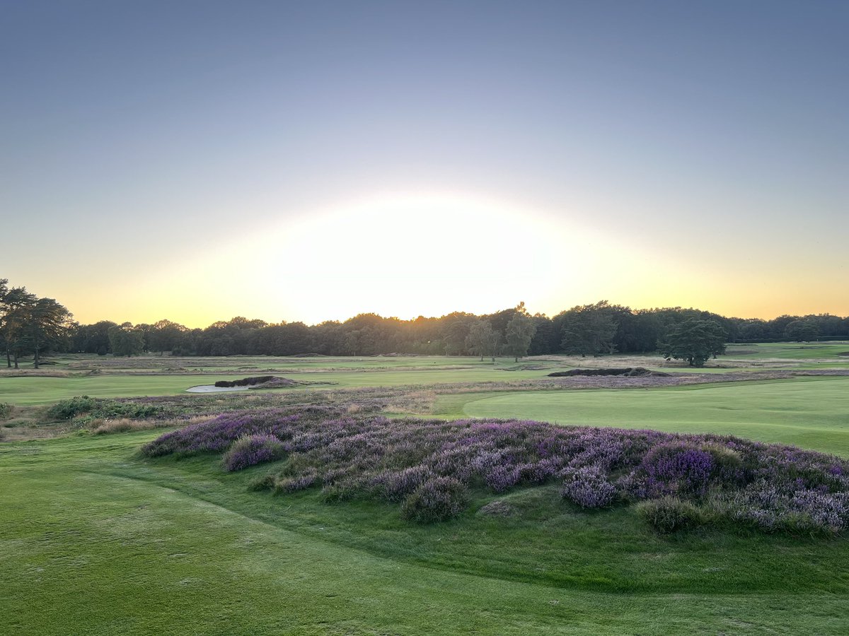 As a long time member <a href="/waltonheath_gc/">Walton Heath Golf Club</a> just wanted to thank <a href="/Walton_Heath_GK/">Walton Heath Greenkeeper</a>  and team - courses have never looked so great #ThankAGreenkeeperDay