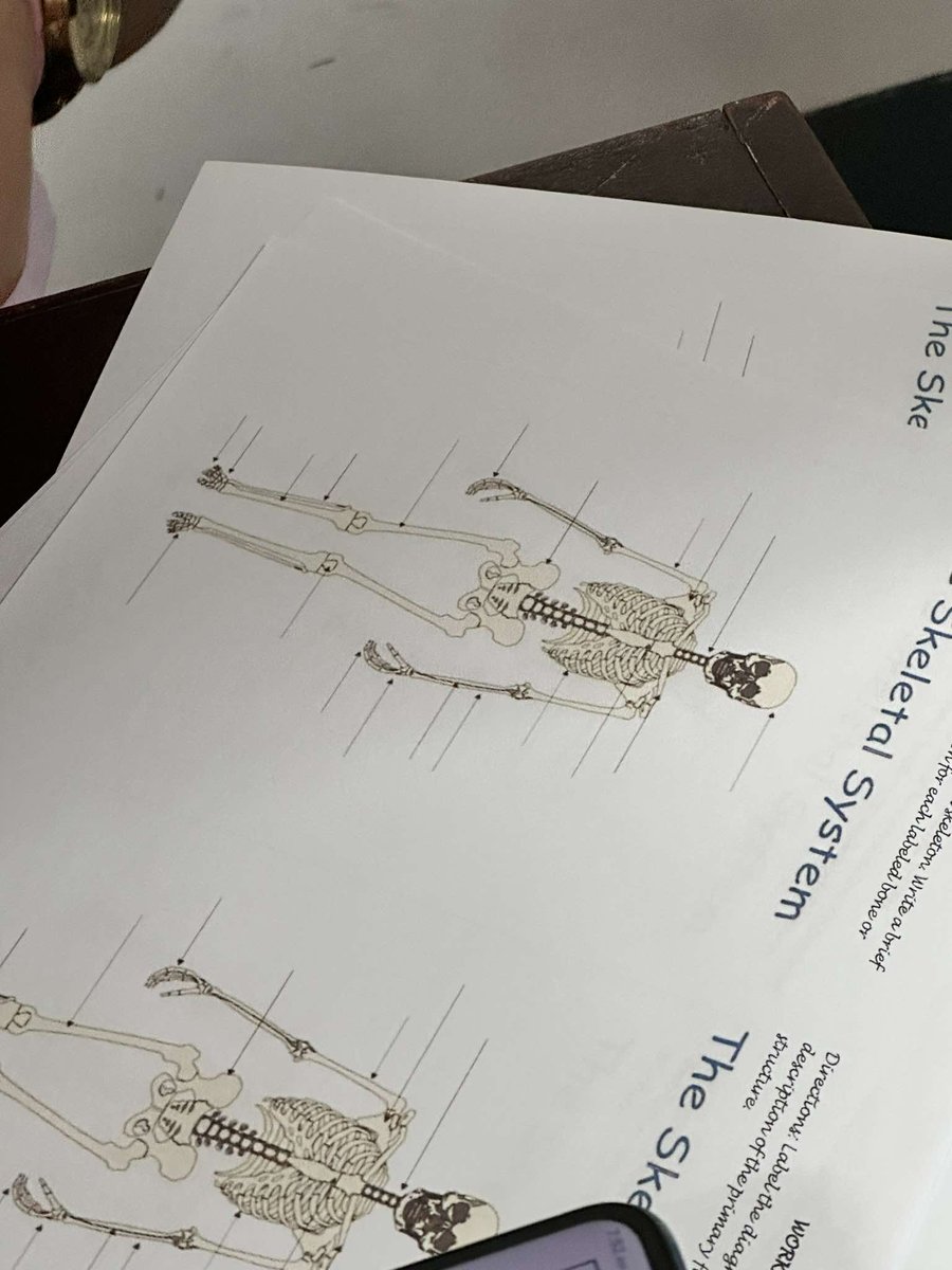 ˖ ݁𖥔 ݁˖   𐙚   ˖ ݁𖥔 ݁˖

hi, I'm archer! new to study #studytwt 
looking for study buddy and moots!!!

about me ✧˚ ༘ ⋆｡˚
• she/her, 07
• currently in Allied Health — Grade 12
• woman in stem, music, books