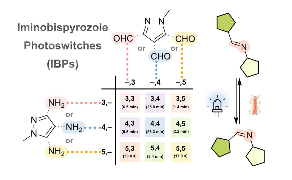 Jake Greenfield (@jakeylg) on Twitter photo Sometimes, two pyrazoles are better than one!💡🚨🛟 Excited to share our latest work in <a href="/ChemCommun/">Chemical Communications</a> on imine-based photoswitches: the iminobispyrazoles (IBPs).🎊<a href="/GalliumWu/">Jiarong Wu</a> <a href="/Uni_WUE/">Universität Würzburg #UniWürzburg</a>
doi.org/10.1039/D4CC03… Sometimes, two pyrazoles are better than one!💡🚨🛟 Excited to share our latest work in <a href="/ChemCommun/">Chemical Communications</a> on imine-based photoswitches: the iminobispyrazoles (IBPs).🎊<a href="/GalliumWu/">Jiarong Wu</a> <a href="/Uni_WUE/">Universität Würzburg #UniWürzburg</a>
doi.org/10.1039/D4CC03…