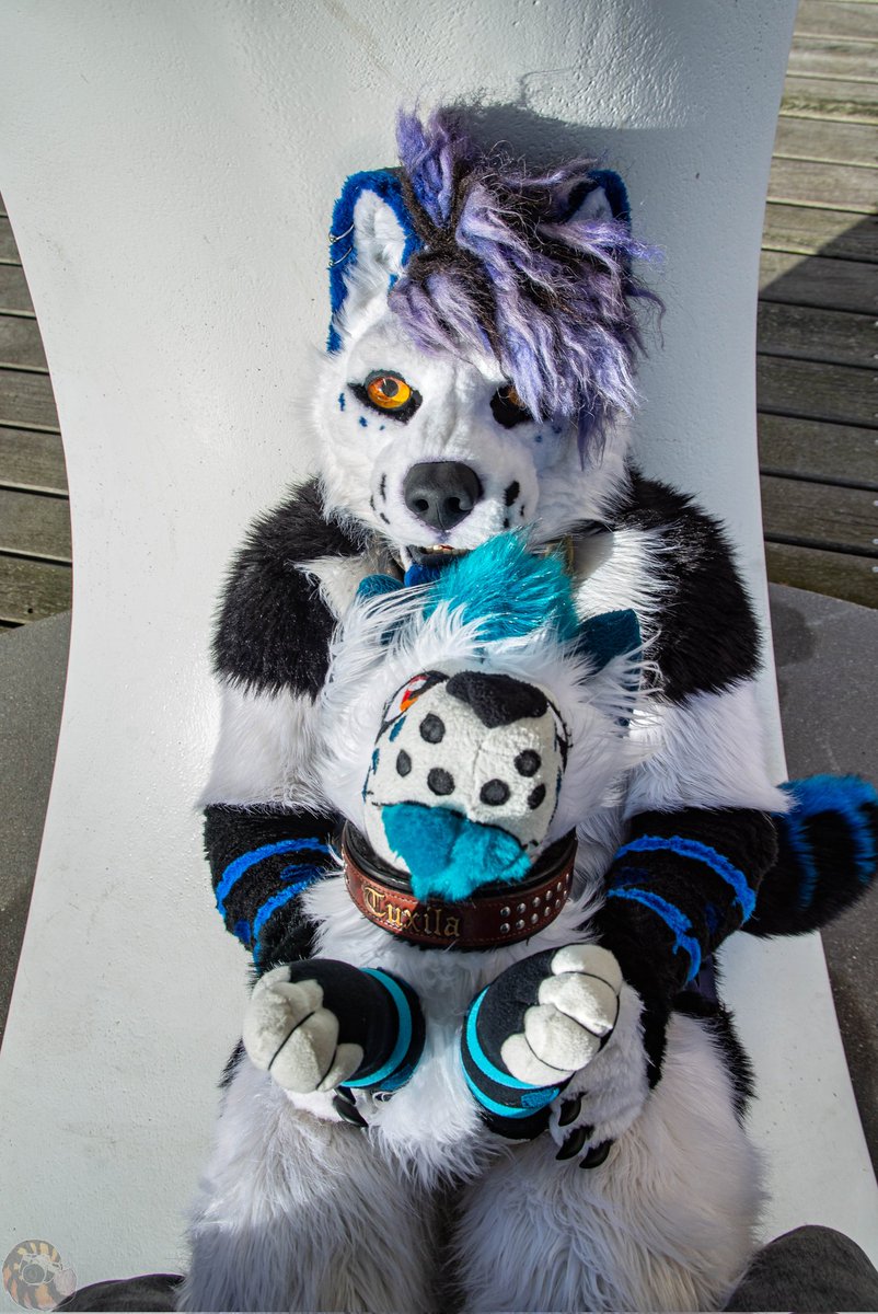 Tuxila🇨🇭 tweet media