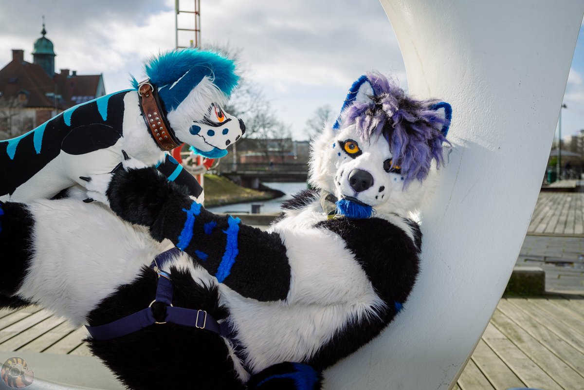 Tuxila🇨🇭 tweet media