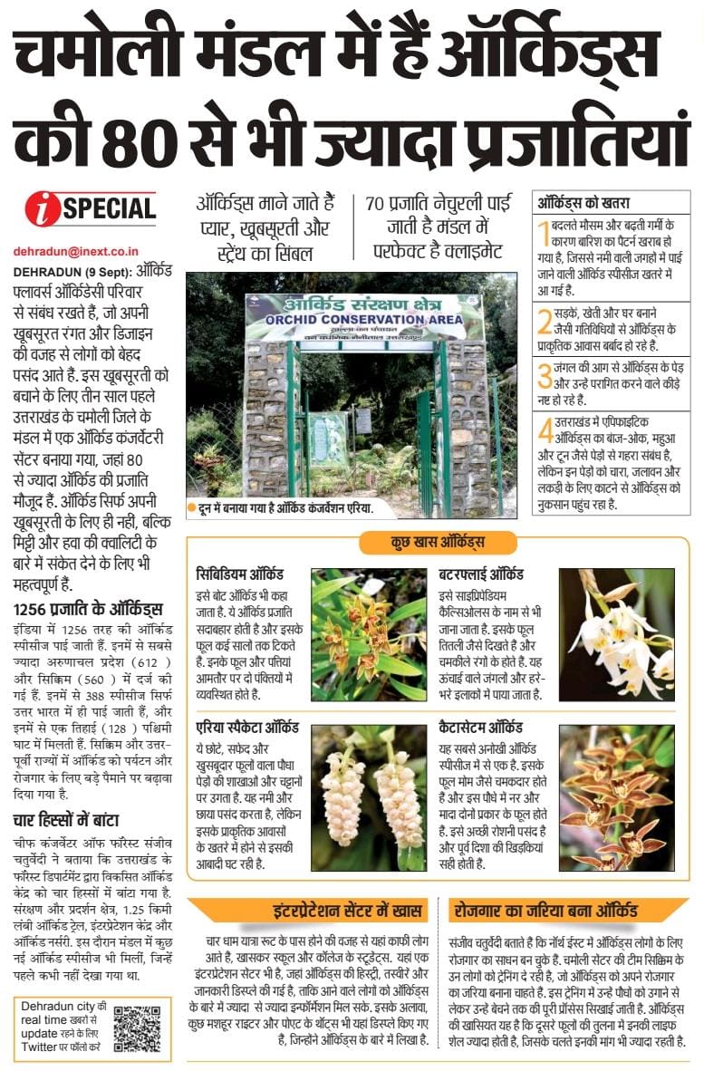 ukfrihaldwani's tweet photo. #Orchid Conservation Centre, Mandal, #Chamoli 

Conserve #biodiversity 
#orchids https://t.co/KQzcoFiGAE