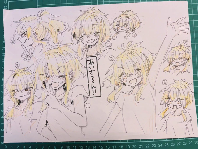 かわいいあいさん
