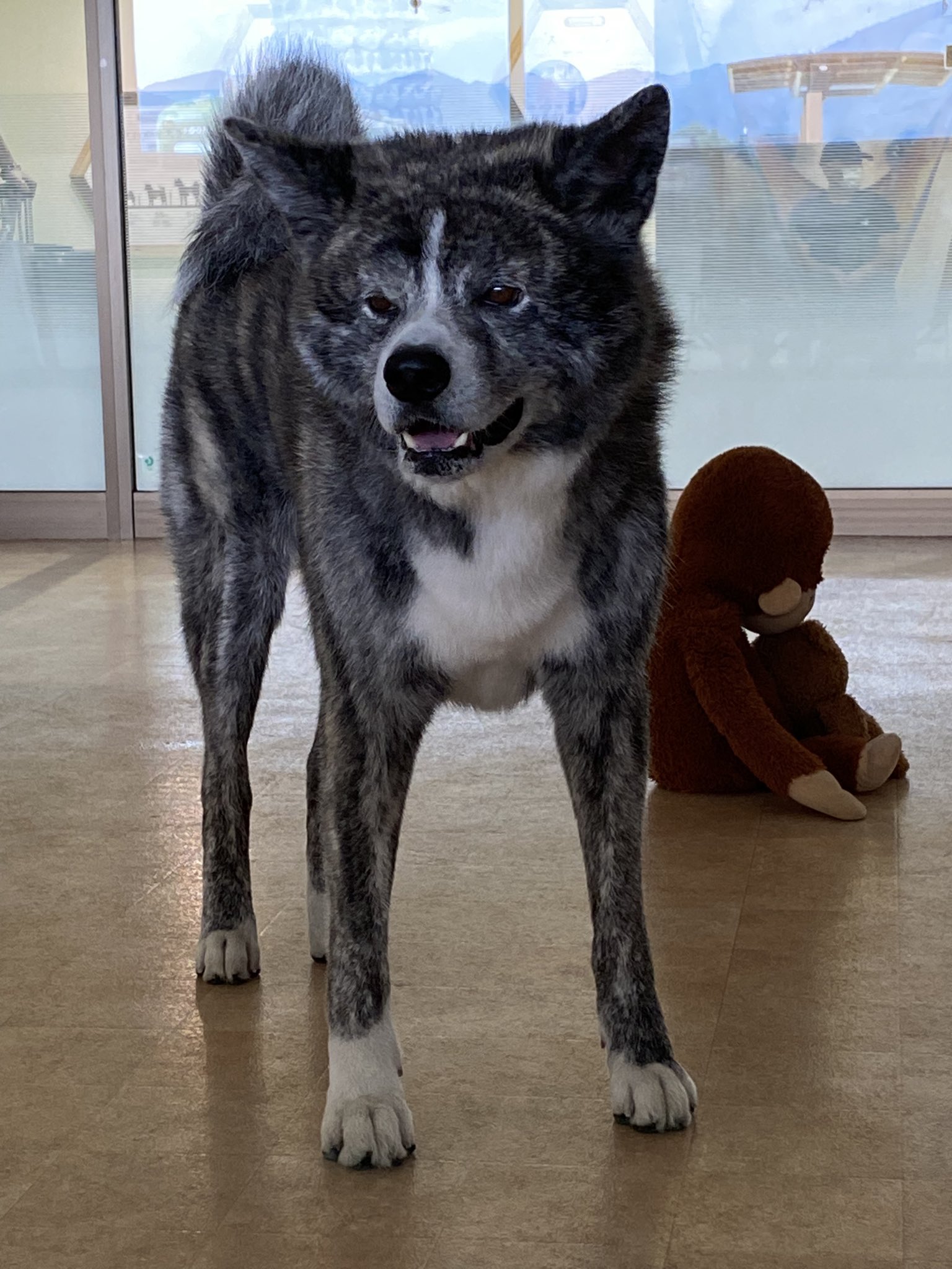 身代わり毛玉幻獣 張り子犬 銀鈴 身代わり毛玉幻獣 張り子犬 銀鈴