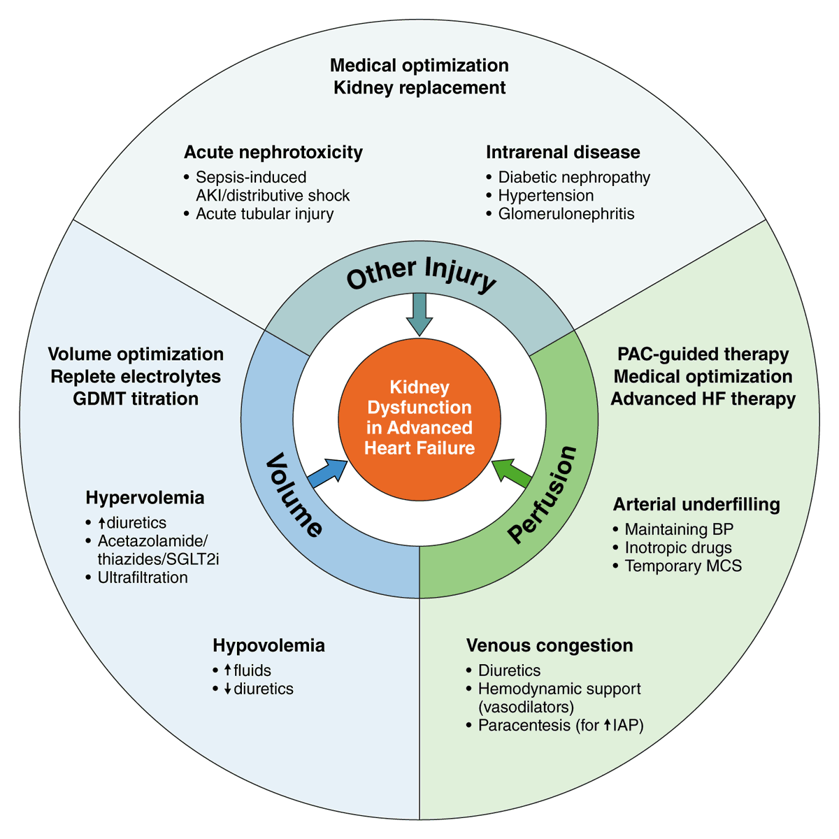 AHA Science (@ahascience) on Twitter photo 🆕statement on evaluating & managing kidney dysfunction in patients with advanced heart failure.
📷Approach to assessment of kidney dysfunction in advanced HF
✍🏼@nishakidneydoc <a href="/WilsonTangMD/">W. H. Wilson Tang, MD</a> <a href="/RangaswJ/">Janani Rangaswami</a> <a href="/FiedlerAmy/">Amy G. Fiedler, MD</a> <a href="/modeldoc/">Modele Ogunniyi, MD, MPH</a> @PietermartensMD <a href="/JamesCFangMD/">James Fang</a> <a href="/CunningBeans/">Xingxing Cheng, MD MS</a> @mbakitas 🆕statement on evaluating & managing kidney dysfunction in patients with advanced heart failure.
📷Approach to assessment of kidney dysfunction in advanced HF
✍🏼@nishakidneydoc <a href="/WilsonTangMD/">W. H. Wilson Tang, MD</a> <a href="/RangaswJ/">Janani Rangaswami</a> <a href="/FiedlerAmy/">Amy G. Fiedler, MD</a> <a href="/modeldoc/">Modele Ogunniyi, MD, MPH</a> @PietermartensMD <a href="/JamesCFangMD/">James Fang</a> <a href="/CunningBeans/">Xingxing Cheng, MD MS</a> @mbakitas