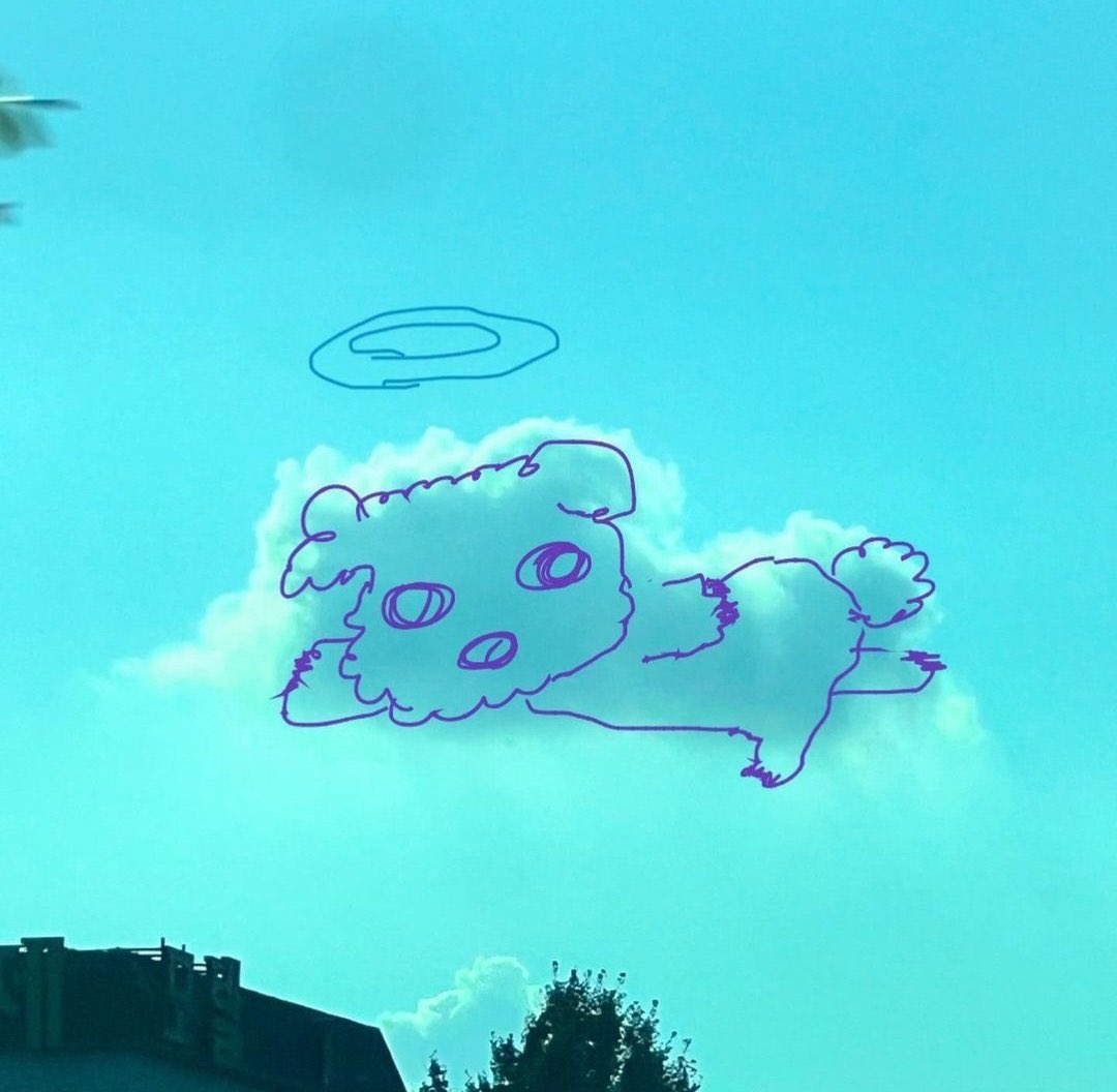 the artist                                                 his arts