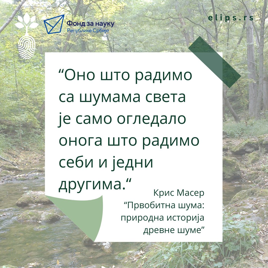 ELIPSProjekat's tweet photo. "What we are doing to the forests of the world is but a mirror reflection of what we are doing to ourselves and to one another." 
Chris Maser (Forest Primeval: The Natural History of an Ancient Forest)
#fondzanauku #ELIPS #programidentiteti #environment #ecology #science #nature https://t.co/gByOX8ptI8