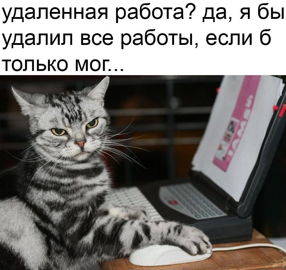 коллеги… мы