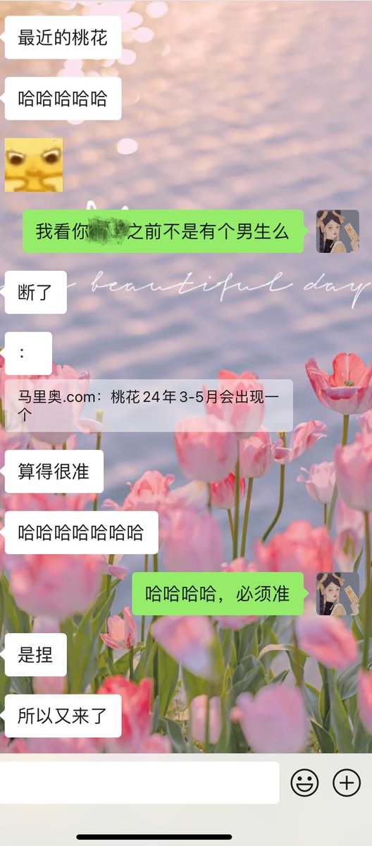 马里奥·dom tweet media