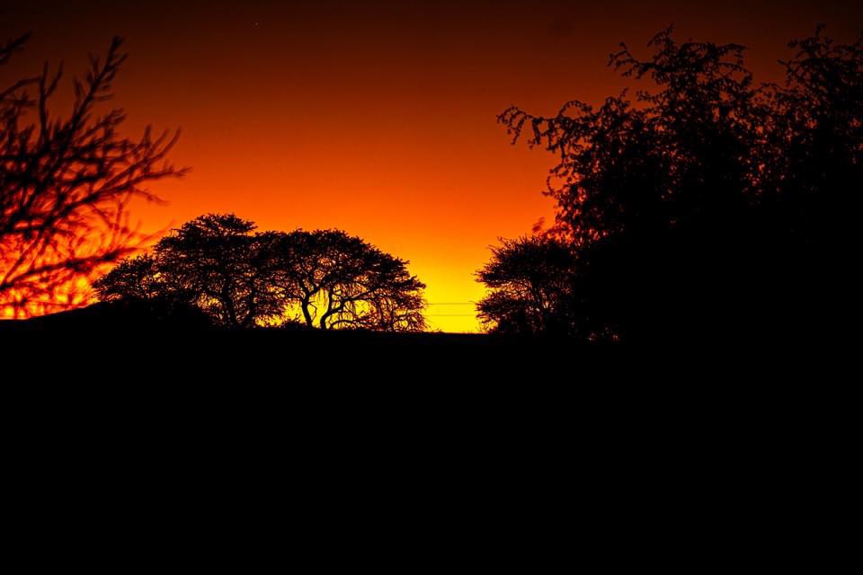 Frankfurt Int School tweet media