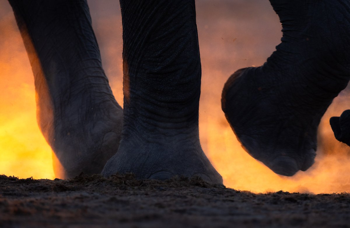 Harry Martin Photography tweet media