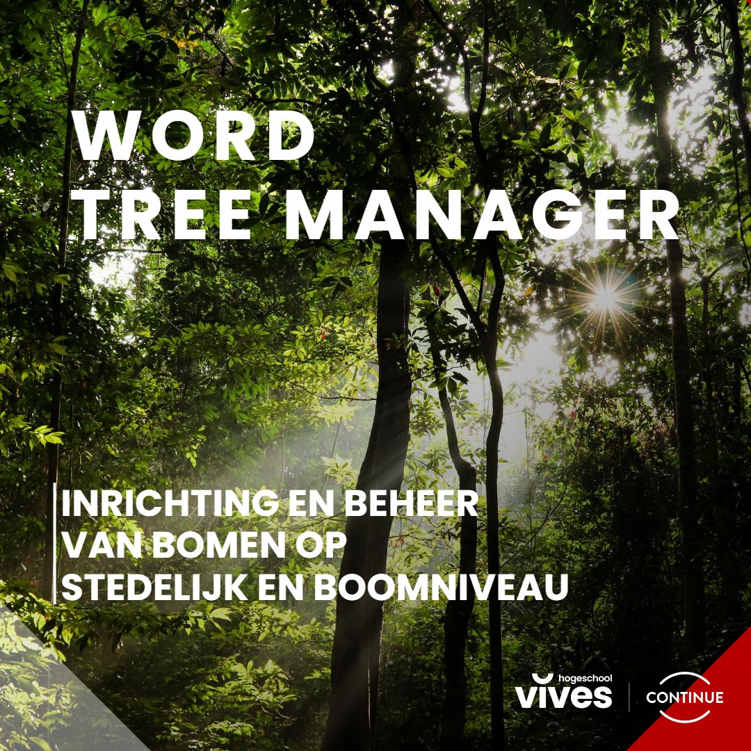 🌳 Bomen zijn belangrijke bouwstenen voor de stedelijke groene omgeving, het urban forest.
Leer bomen duurzaam intergreren in steden. Wat zijn knelpunten en kansen voor bomen in de stad? Hoe pak je ze aan? Bekwaam je in alle aspecten van bomen in de stad.
continue.vives.be/nl/opleidingen…