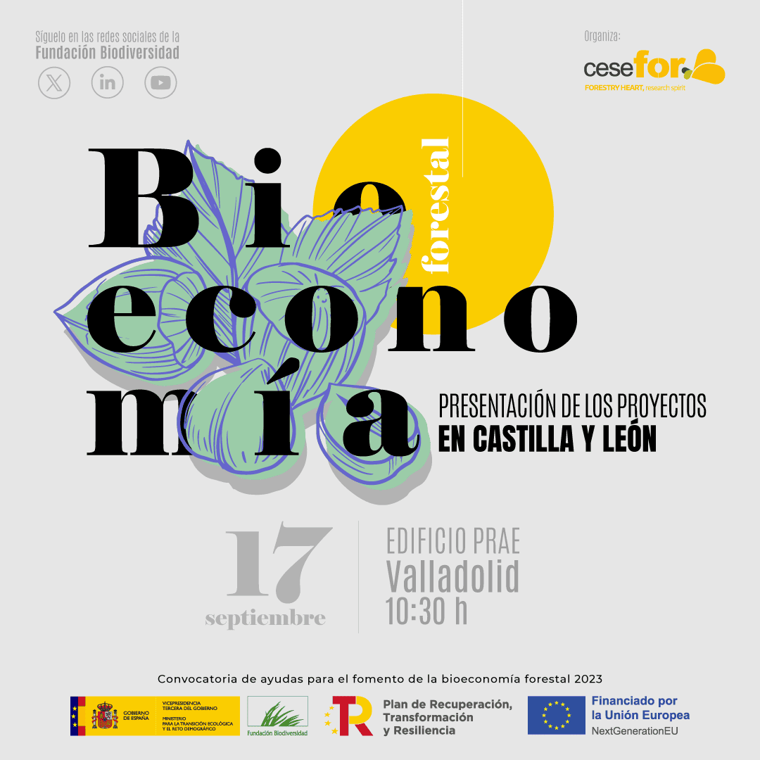 InfoFBYCC's tweet image. 📢El próximo 17 de septiembre tendrá lugar la Jornada de Presentación de Proyectos de #BioeconomíaForestal en Castilla y León, organizada por @FCesefor

📍Sala de exposiciones PRAE, Valladolid
🗓️ 17/09/2024
🕑10:30 a 15:00

¡Allí estaremos presentando el proyecto #ECO2FOR 🌳!