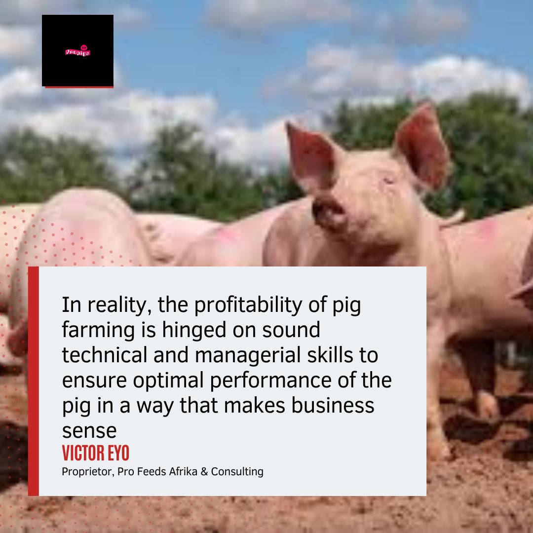 victor.eyo tweet media