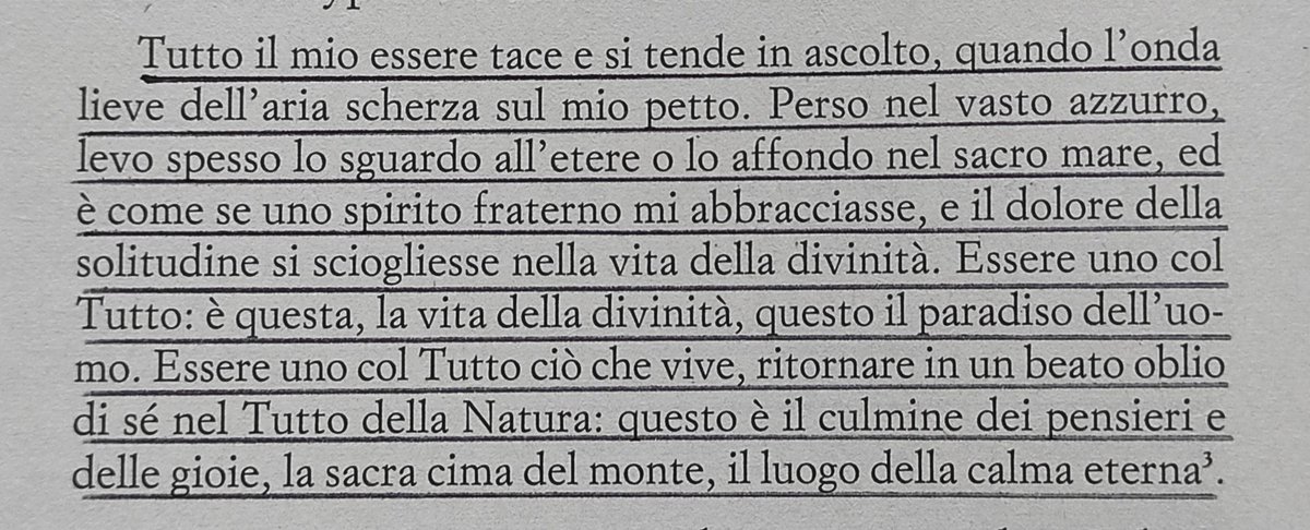 Tommaso Negri tweet media