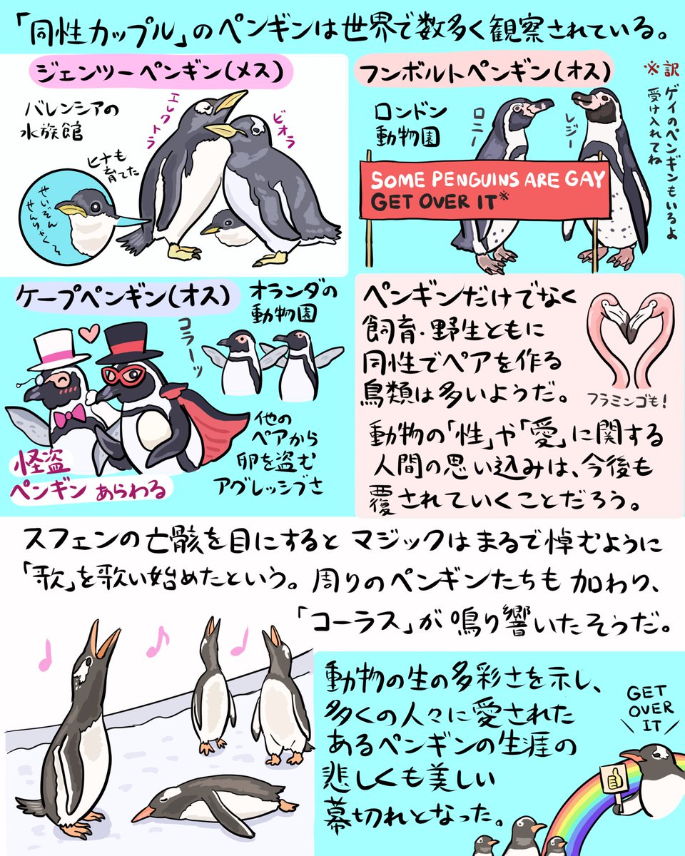オス同士で「同性カップル」を作り、ヒナも育てたジェンツーペンギンの「スフェン」が世を去りました。彼の人生ならぬペン生をふりかえりましょう。
#いきものニュース図解