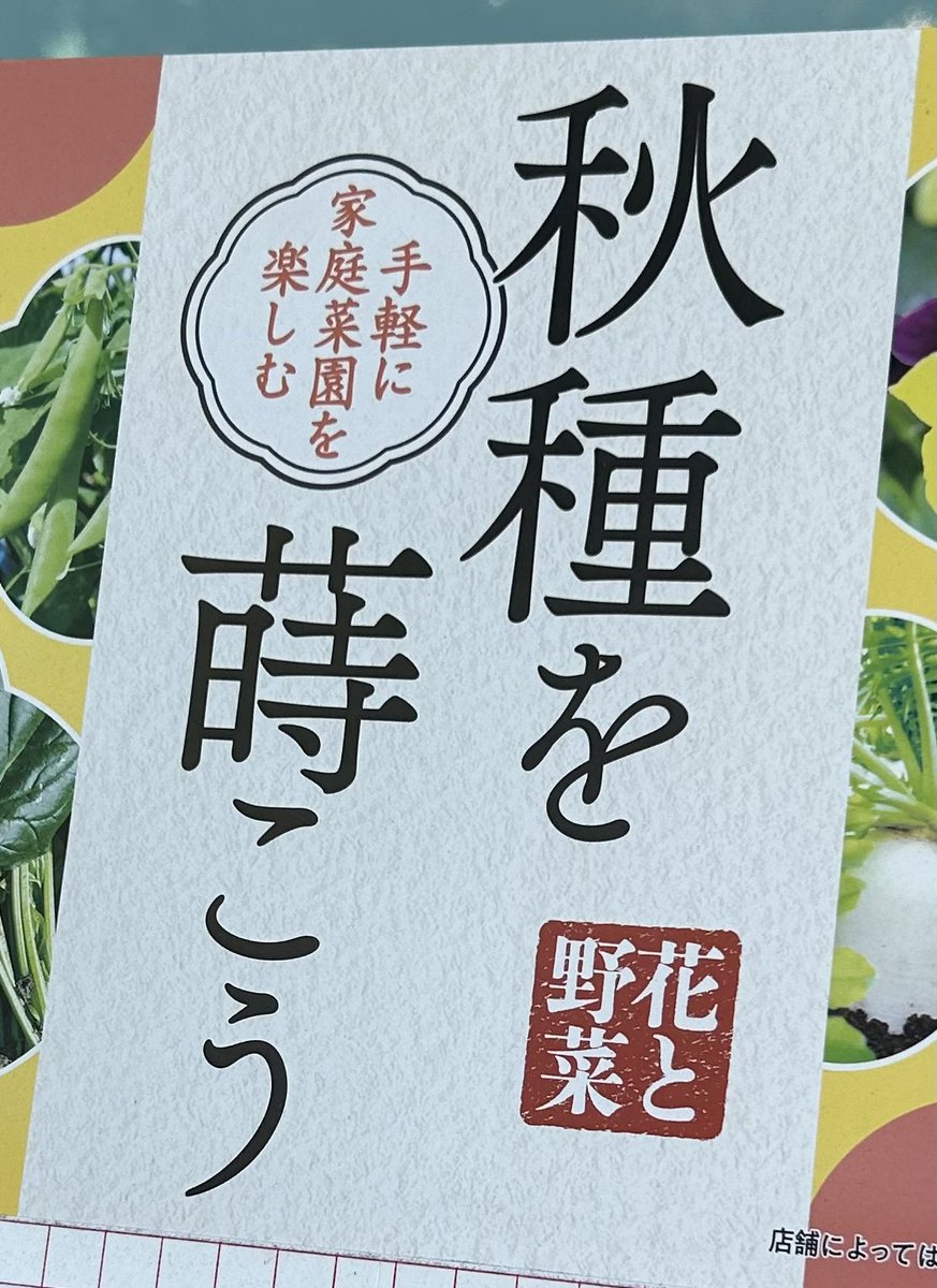 秋ののぎへん見えなくて「は?」ってなってた🤔 