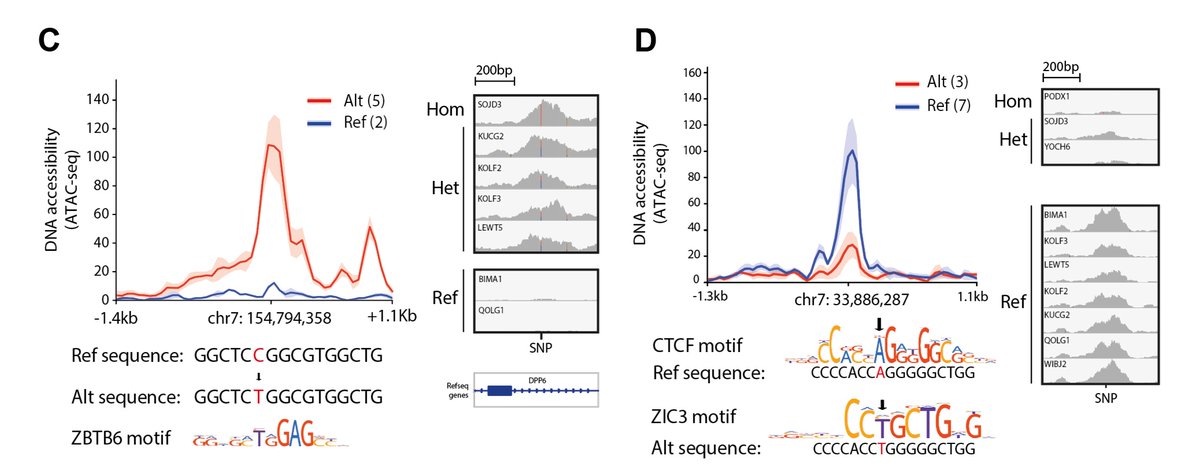 Reik Lab tweet media
