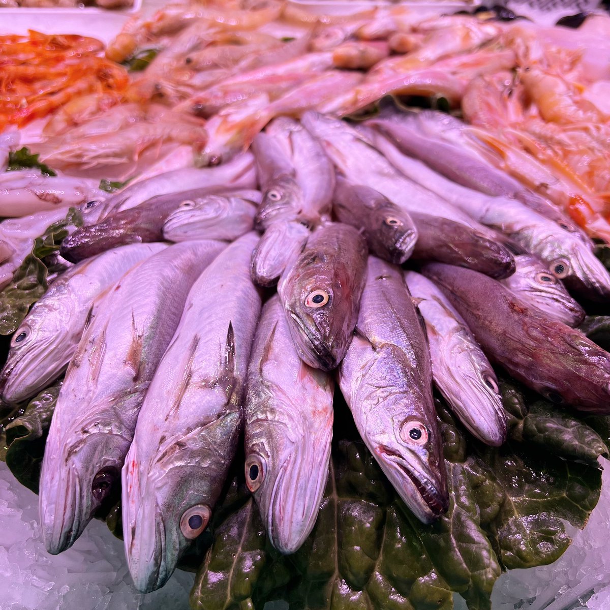 mercatdelesseps's tweet image. 🐟El peix per fregir és perfecte per a plats ràpids i deliciosos. 

🐟A més del lluçet, aquesta temporada també trobaràs seitó i sardines, ideals per a fregir.

🫶🏻Són opcions saludables, riques en omega-3 i amb molt de sabor. 

🐠 Pescados Maribe
#peixateria
#peixfresc