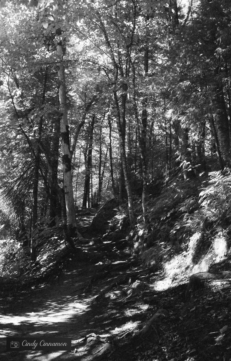 Cindy_Cinnamon's tweet photo. Quโest-ce que cette photo vous inspire?
Cindy Cinnamon Photographie
https://t.co/g7SV9JrYvu
Pentax K1000
Ilford SFX 200 + Filtre Hoya Rouge
#Foret #Sentier #Nature #HoyaFilter #Art #Pentax #PentaxK1000 #AsahiPentax #IlfordSFX #35mm #Infrared #bnw #IlfordFilm #RedFilter #Hoya https://t.co/DbobEQW8rX