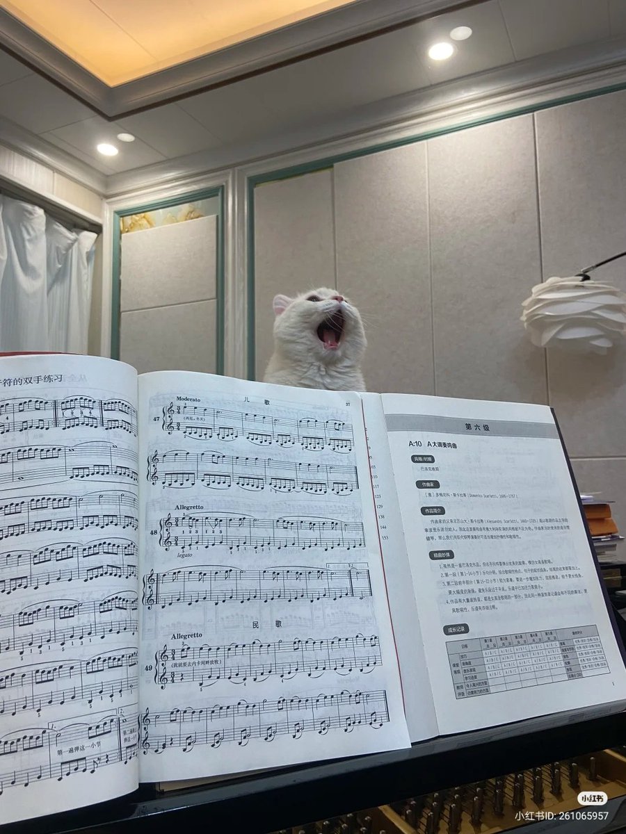 And iiiiiiiiiiii will always love you