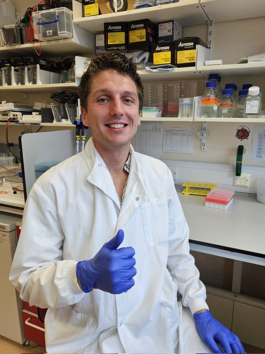 Rehwinkel's lab (@rehwinkel_lab) on Twitter photo Last week, the <a href="/The_MRC/">Medical Research Council</a> awarded <a href="/alex_redmond_/">Alex Redmond</a> the Supplemtary Funding for High cost Experimentation grant, which he will use to conduct RNA sequencing for his DPhil project. We are grateful to MRC for this funding, and congratulations to Alex 🎉 Last week, the <a href="/The_MRC/">Medical Research Council</a> awarded <a href="/alex_redmond_/">Alex Redmond</a> the Supplemtary Funding for High cost Experimentation grant, which he will use to conduct RNA sequencing for his DPhil project. We are grateful to MRC for this funding, and congratulations to Alex 🎉