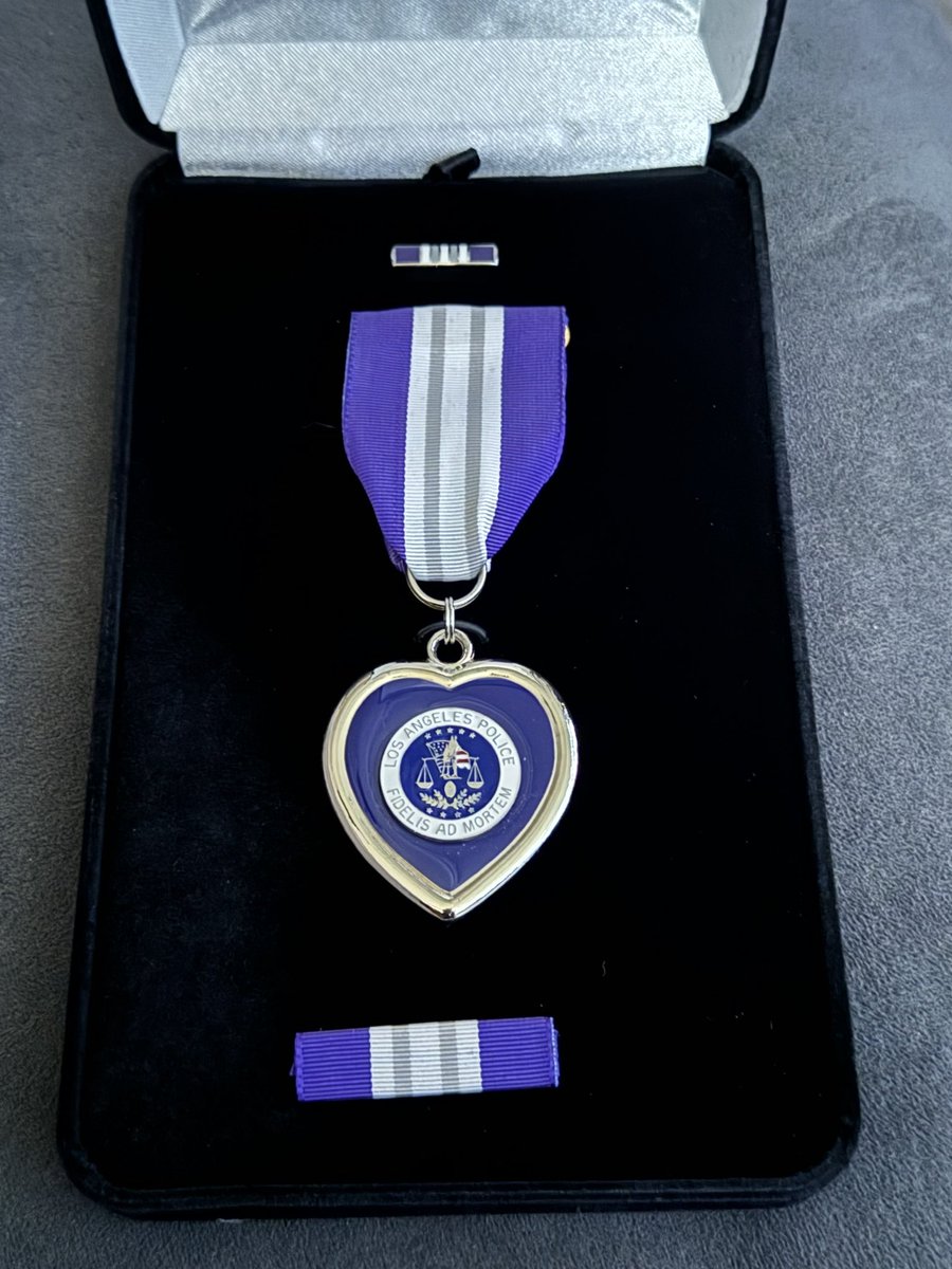 NewtonLAPD's tweet image. Two Newt Div ofcrs were recently honored at the LAPD’s Inaugural Purple Heart Ceremony after surviving a violent collision while responding to a backup call. Their bravery and resilience inspire us all.  🍀🍀

#LAPD #PurpleHeart #Bravery #FirstResponders #HeroesAmongUs #