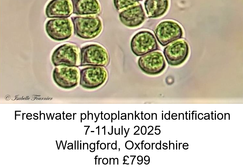 .
#training <a href="/UK_CEH/">UK Centre for Ecology & Hydrology</a>
Freshwater phytoplankton identification

Wallingford nr. Oxford
7-11 July 2025
From £799
ceh.ac.uk/training/fresh…

PL RP
<a href="/ramboll_uk/">Ramboll UK</a> <a href="/RathodBiren/">Biren Rathod</a> <a href="/ReadingBioSci/">UoR BioSci</a> <a href="/ReadingUrbPolls/">Urban Pollinators</a> <a href="/RedheadGIS/">John Redhead</a> <a href="/redlisteco/">Red List of Ecosystems</a> <a href="/ResearchNT/">National Trust Research</a> <a href="/RHDHV/">Royal HaskoningDHV</a> <a href="/RHULGeopolitics/">RHUL Geopolitics</a> 
#lake #plankton