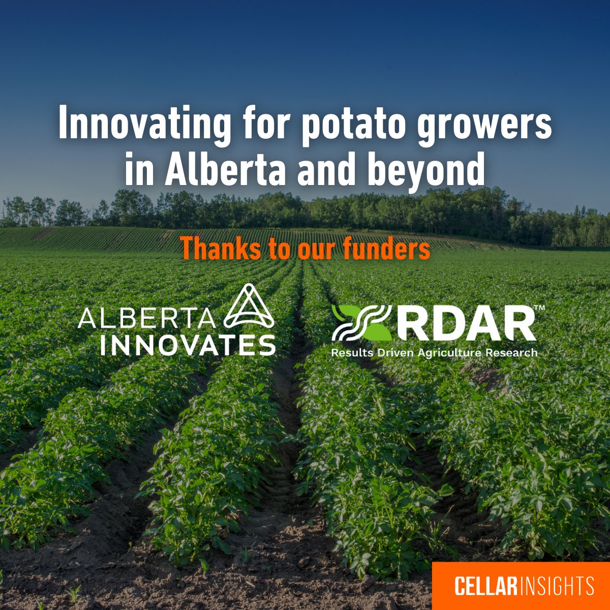 Cellar Insights (@cellar_insights) on Twitter photo Thanks to funding from <a href="/ABInnovates/">Alberta Innovates</a> and <a href="/RDARAlberta/">RDAR (Results Driven Agriculture Research)</a>, we’re driving agricultural innovation to maximize crop value in storage for Alberta growers and beyond. Our vision is to develop predictive models to help #growers maximize #crop quality and yield in #storage. Thanks to funding from <a href="/ABInnovates/">Alberta Innovates</a> and <a href="/RDARAlberta/">RDAR (Results Driven Agriculture Research)</a>, we’re driving agricultural innovation to maximize crop value in storage for Alberta growers and beyond. Our vision is to develop predictive models to help #growers maximize #crop quality and yield in #storage.