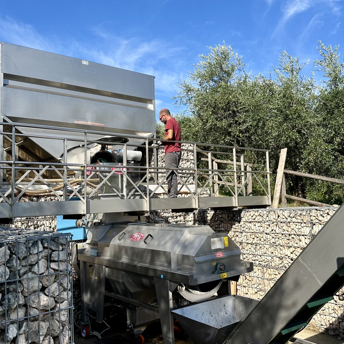 #Harvest has started🍇The most anticipated moment of the year is finally here! It is time to collect the #grapes from a year of hard work, patience, care and dedication and to get #crushing and fermenting as quickly as possible. It’s all about freshness!
#newvintage #wine
