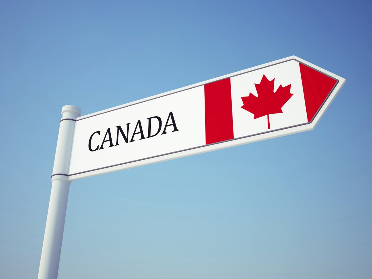 Canadian wheat stocks fell 18.5% from year-ago to 4.6 MMT as of July 31, according to Statistics Canada. Exports of wheat in 2023-24 fell 1.2% to 25.2 MMT but remained above the five-year average. 
Canadian canola stocks increased 66.9% to 3.1 MMT.

zurl.co/fo59