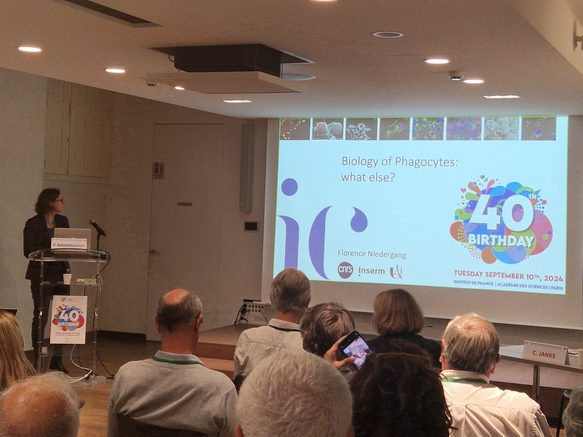 SBCF (@sbcf1) on Twitter photo Florence Niedergang (<a href="/InstitutCochin/">Institut Cochin</a>), la précédente présidente de la SBCF (2022-2024), décrit comment les macrophages "mangent" grâce à la (dé)polymérisation de l'actine localement. Florence Niedergang (<a href="/InstitutCochin/">Institut Cochin</a>), la précédente présidente de la SBCF (2022-2024), décrit comment les macrophages "mangent" grâce à la (dé)polymérisation de l'actine localement.