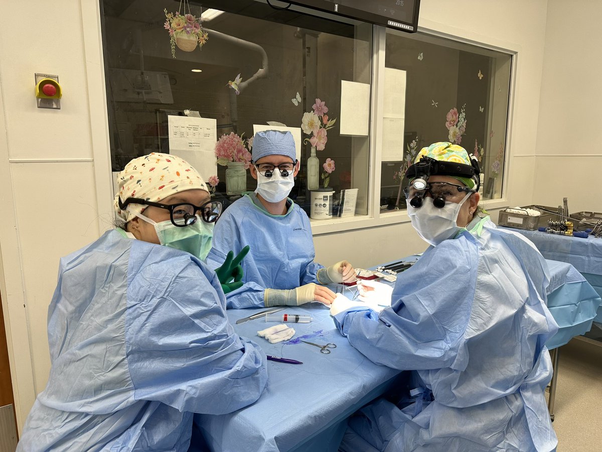 UF Vascular (@ufvascular) on Twitter photo When all 3 first year fellows finish their rooms at the same time and decide to build and deploy the emergent PMEG together! Photo (and supervision) credit: <a href="/CooperMichol/">Michol Cooper</a>. <a href="/CommanderMD/">Sarah Jane Commander</a> <a href="/meixi_ma/">Meixi Ma | 马梅西</a> <a href="/erikmands/">Erik Anderson</a> <a href="/gru6n/">Gilbert Upchurch</a> <a href="/UFSurgery/">UF Surgery</a> When all 3 first year fellows finish their rooms at the same time and decide to build and deploy the emergent PMEG together! Photo (and supervision) credit: <a href="/CooperMichol/">Michol Cooper</a>. <a href="/CommanderMD/">Sarah Jane Commander</a> <a href="/meixi_ma/">Meixi Ma | 马梅西</a> <a href="/erikmands/">Erik Anderson</a> <a href="/gru6n/">Gilbert Upchurch</a> <a href="/UFSurgery/">UF Surgery</a>