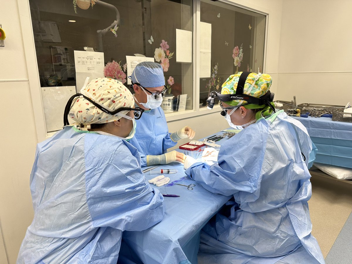 UFVascular's tweet image. When all 3 first year fellows finish their rooms at the same time and decide to build and deploy the emergent PMEG together! Photo (and supervision) credit: @CooperMichol. @CommanderMD @meixi_ma @erikmands @gru6n @UFSurgery