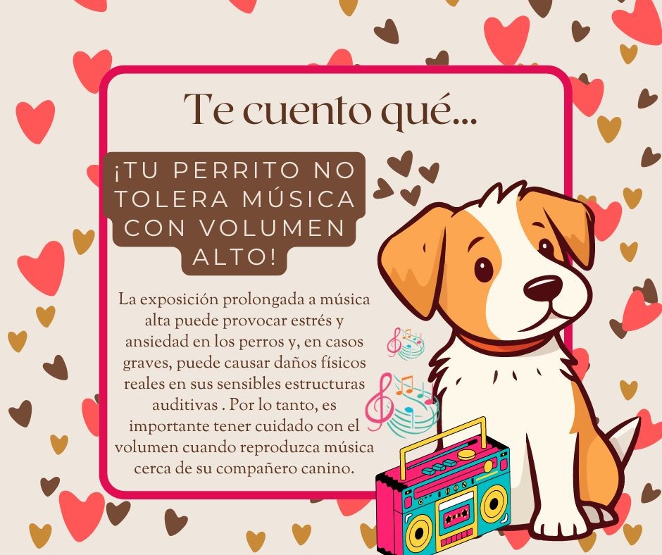 CapuyB's tweet image. 🐶🎶 #Urgente Si está reproduciendo música demasiado alta para sus oídos, es posible que también pueda ser dañina para los oídos del perro y le causas un estrés innecesario.

#Hoy #LoÚltimo #DogLovers #Mascota #Mundo