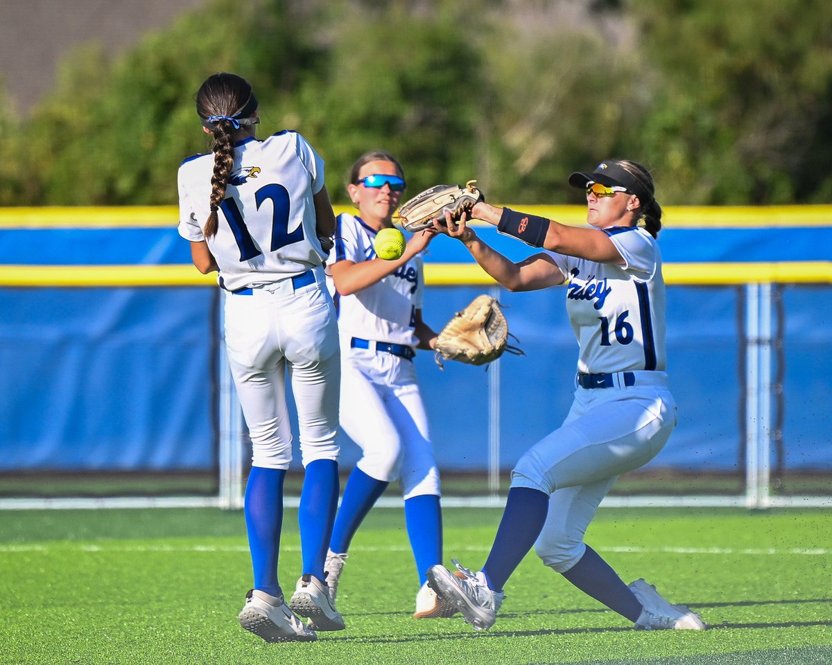 David Rainey tweet media