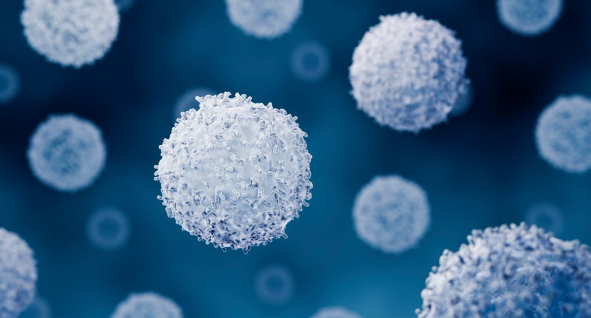 Department of Biomedicine (@depbiomedicine) on Twitter photo Exciting breakthrough in T cell therapy! Researchers from <a href="/DepBiomedicine/">Department of Biomedicine</a> (<a href="/KhannaLabBasel/">Nina Khanna Lab</a>) and <a href="/UZH_en/">University of Zurich</a> have developed a method to enhance ACT against EBV-driven tumors using early-differentiated TSCMs. This approach shows improved tumor control and persistence. Congratulations Exciting breakthrough in T cell therapy! Researchers from <a href="/DepBiomedicine/">Department of Biomedicine</a> (<a href="/KhannaLabBasel/">Nina Khanna Lab</a>) and <a href="/UZH_en/">University of Zurich</a> have developed a method to enhance ACT against EBV-driven tumors using early-differentiated TSCMs. This approach shows improved tumor control and persistence. Congratulations