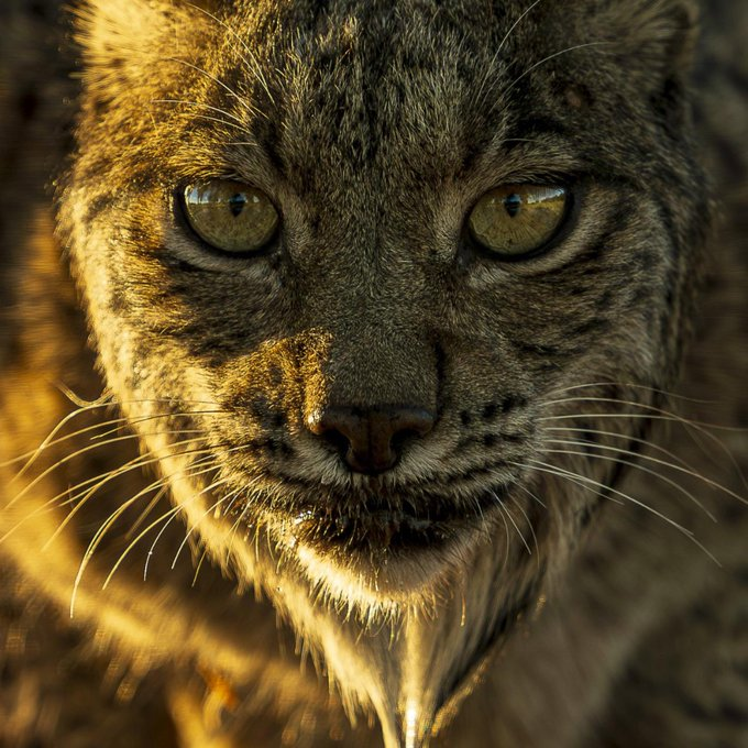 Gana Con Arte 🪐✨🏛️ tweet media