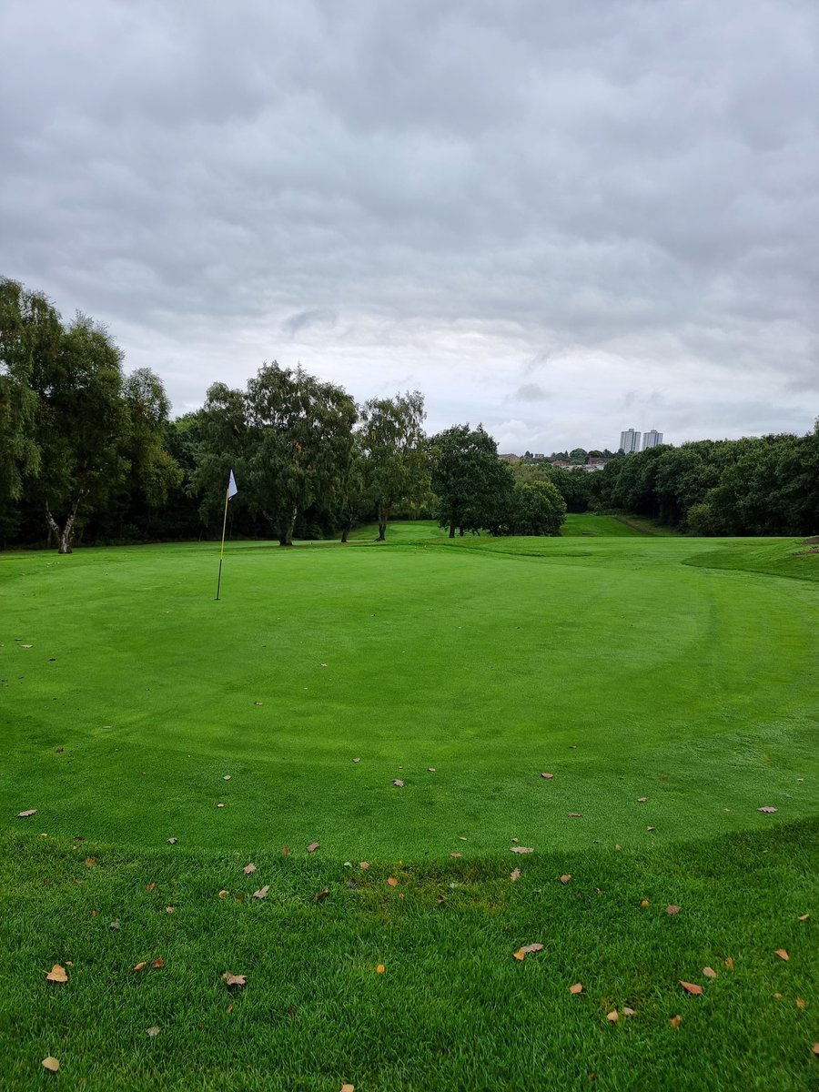 Really feels like autumn 
Greens cut
Holes moved 
Rough cut 
Practice field cut 
Repairs to strimmers
Fairways cut 
There is some disease around pressure is high but it's been checked with the spray we put on last week