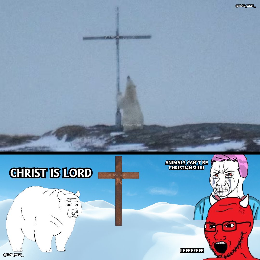 trad_west_'s tweet photo. Polar bears love Jesus Christ 🐻‍❄️✝️ https://t.co/Elaldm71ZQ