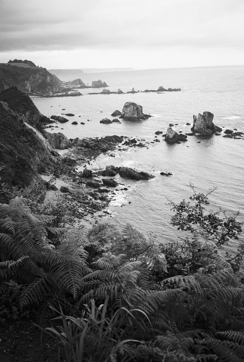 Revelas unas fotos y de repente viajas en el tiempo dos años.