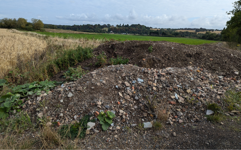 Daniel Kelly tweet media