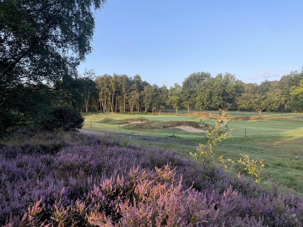 flatpat55deg's tweet photo. I end up Thanking these lads most days as they have completely transformed our Course over the last 7 years or so .  A Huge thank from The Pro Shop and our Members  here at Sutton Coldfield GC .🙏🙏🙏 https://t.co/CyXCNhxQjV