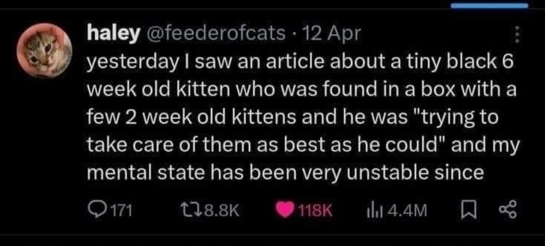 PillowPhilo's tweet photo. My friend said this is me https://t.co/lB6ag1QsaM