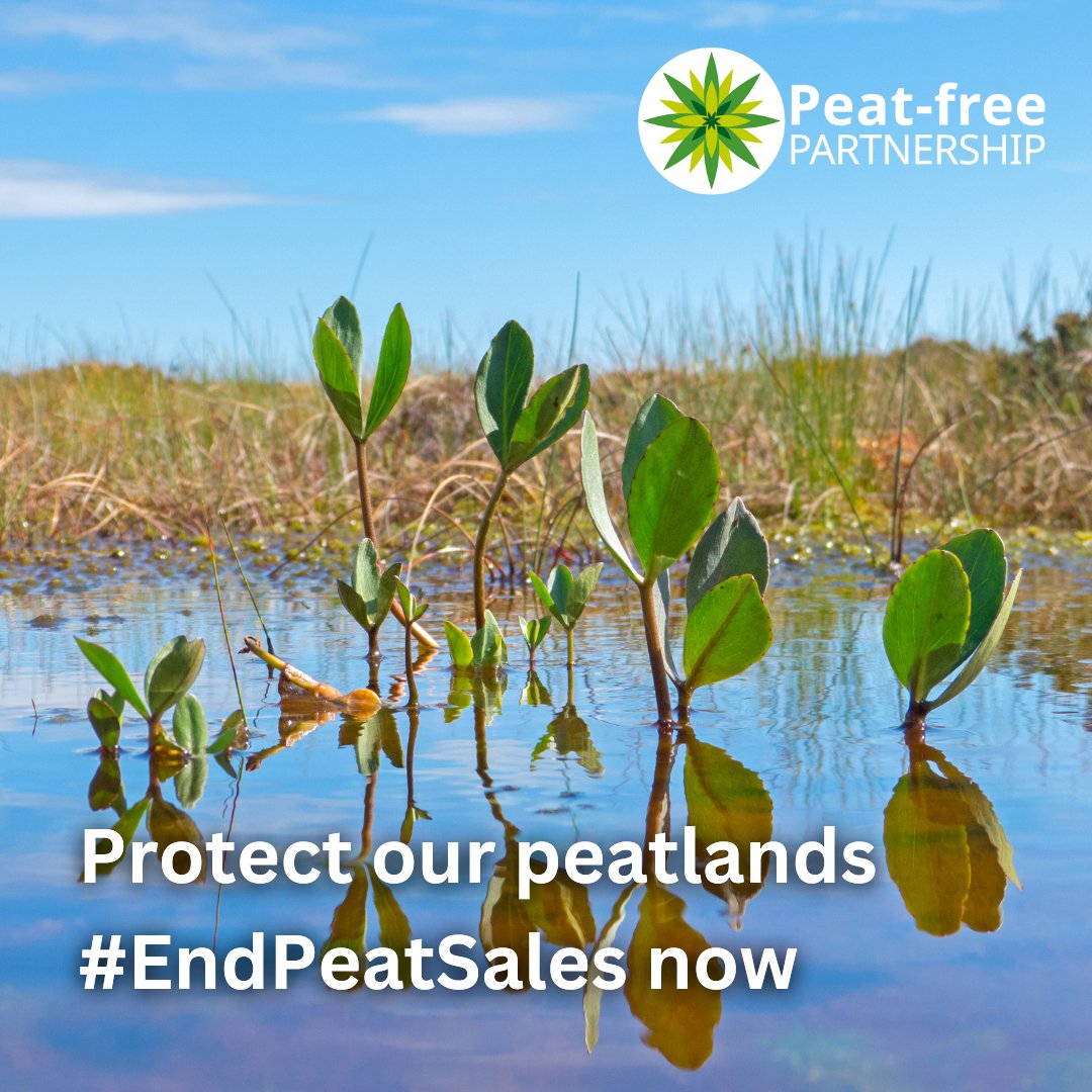 Peat-free Partnership 🦋 @peatfree.bsky.social tweet media