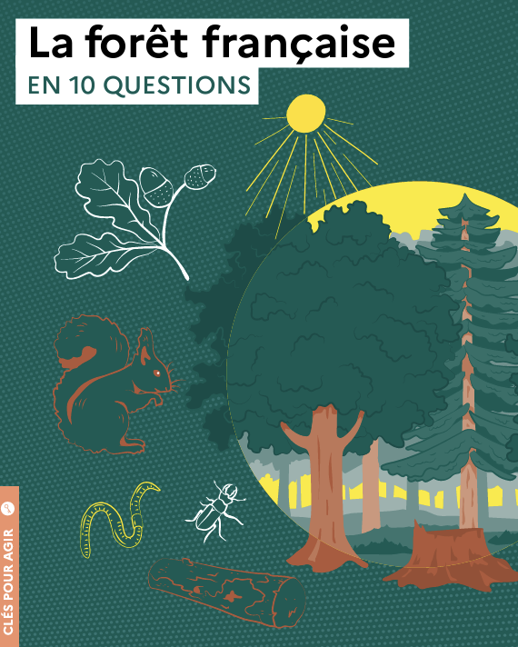 ademe's tweet photo. Dans le cadre des @assises_energie, le rendez-vous annuel des acteurs européens engagés dans la transition énergétique des territoires (#AssisesTE), redécouvrez le guide de l’@ademe sur les forêts françaises 👉🏻https://t.co/HFGE0RUhPo https://t.co/vU2VFl6EQE