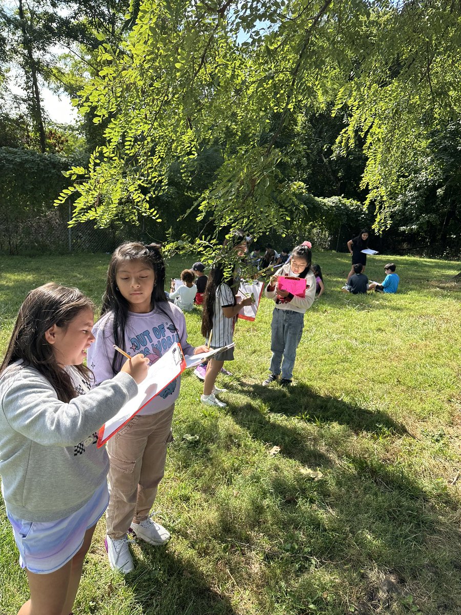 Mr. Zohn tweet media