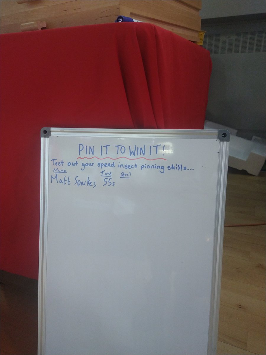 You have to be #pinittowinit! We need a little help preparing specimens from our recent summer field course. Prizes* for speed and quality here at #Ento24 

Benchmark from <a href="/FoundSumFlies/">Matt</a>

*TBD 😆